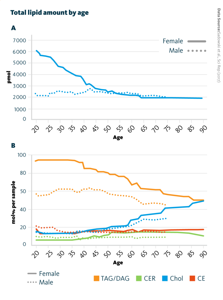 Lipidomics analysis of stratum corneum tape strips from female and male subjects. Lines represent 0-order polynomial smoothing function with 8 neighbors averaged. Drawn-through lines represent female skin lipid profiles, dashed lines represent male skin lipid profiles. A: Means of total amounts of lipids measured in females and males at different age. B Lipid profiles of lipid classes of females and males of different age.