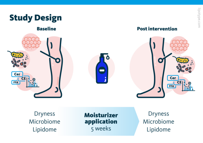 Lipid Metabolism & Microbiome of Dry Skin - Lipotype GmbH