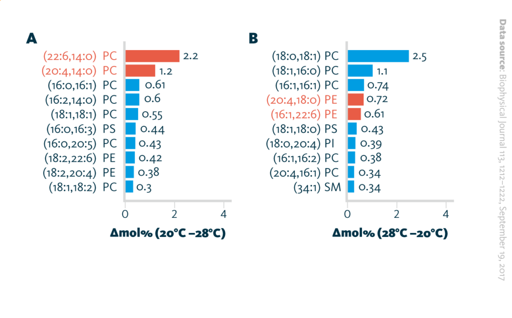 Ten lipid species detected at higher abundance in GPMVs from cells grown depending on the growth temperature (20° and 28° C), the lipid species arranged according to the order of magnitude of increased abundance. lipid species unique for each group are labeled in red text.