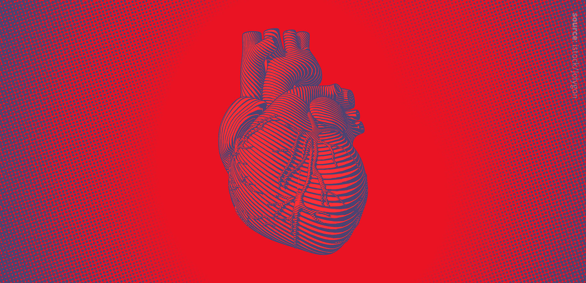 Lipidomics Of Cardiovascular Diseases