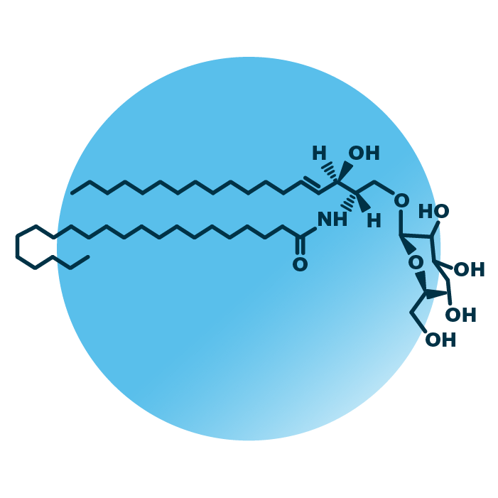 Glucosylceramide Analysis - Lipid Analysis - Lipotype GmbH