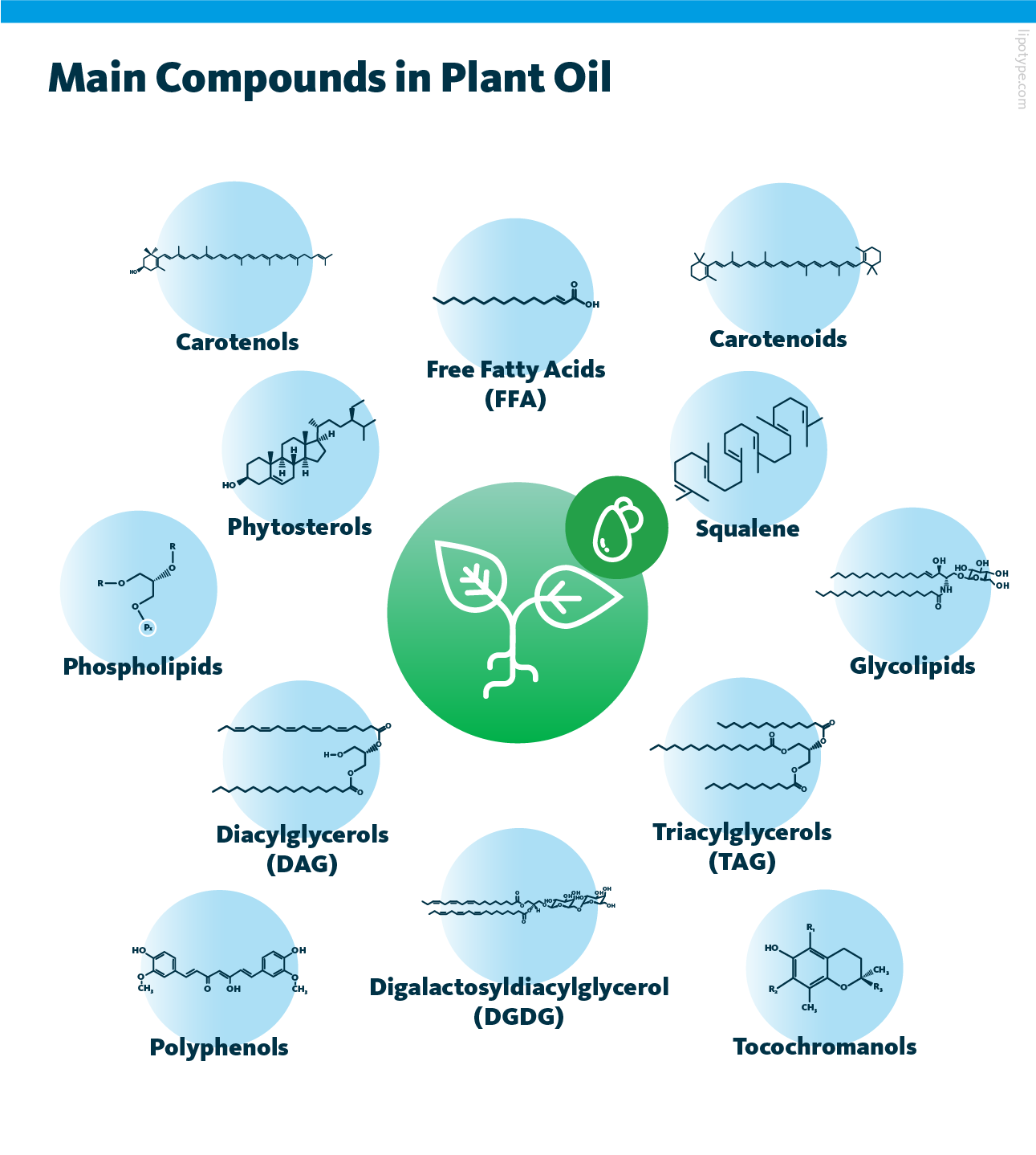 Main compounds in plant oil.